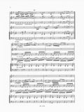 Vivaldi, Antonio % Concerto in g minor, F12, #6, RV107 - FL/OB/BSN/VLN/PN (Basso Continuo)