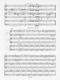 Weber, Carl Maria von % Adagio & Rondo (score & parts)-2CL/2HN/2BSN