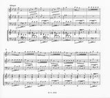Vivaldi, Antonio % Concerto in g minor, F12 #8, RV106 - FL/BSN/VLN/PN (Basso Continuo)