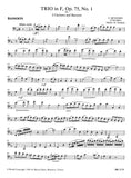 Bassoon