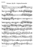 Bassoon 1