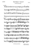 Bassoon 1