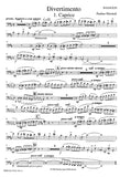Bassoon 1