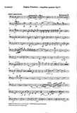 Bassoon 1
