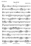 English Horn 1