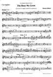 English Horn 1