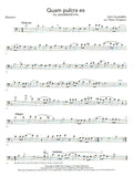 Bassoon