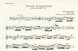Oboe d'Amore