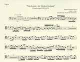 Bassoon