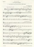 Bassoon 1