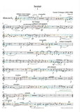 Erlanger, Gustav % Sextet, op. 41 (score & parts) - CL/BSN/HN/VLN/VLA/CEL