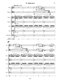Ripper, Joao Guilherme % Concertino (Score & Set of Parts)-OB/BSN/STGS