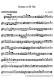 Oboe 1