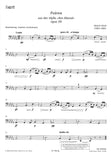 Bassoon 1