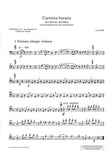 Bassoon 1