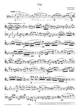 Bassoon 1