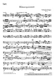 Bassoon 1