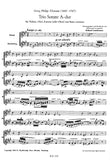 Oboe 1