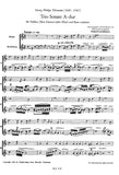 Oboe d'Amore 1