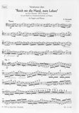Schottstadt, Rainer % Variations on "La ci darem la mano" from "Don Giovanni"-BSN/PN