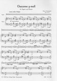 Schottstadt, Rainer % Chaconne in g minor-BSN/PN
