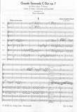 Brandl, Johann Evangelist % Grand Serenade in C Major, op. 7 (score & parts) - OB/2HN/BSN/VLN/2BLA/CEL/KB