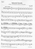 Wolf, Hugo % Italian Serenade (score & parts) - WW5/STG4/KB