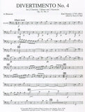 Bassoon 1