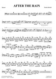 Bassoon 1