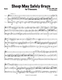 Bach, J.S. % Sheep May Safely Graze (score & parts)(Hillery) - 3BSN