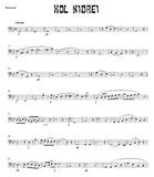 Bassoon