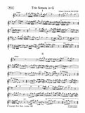 Flute
