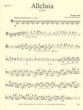 Bassoon 1