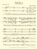 Solo score