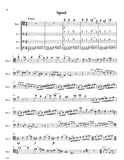Score 5