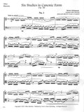 Bassoon