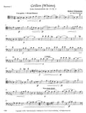 Bassoon