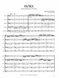 Dinicu, Grigoras Ionica % Hora (score & parts) - 4BSN/CBSN or 5BSN