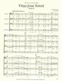 Bruckner, Anton % Virga Jesse floruit (score & parts) - 3BSN/CBSN