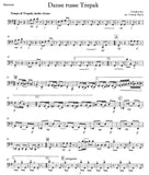 Bassoon