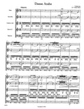 Score 3