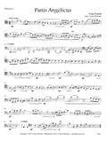 Bassoon 1