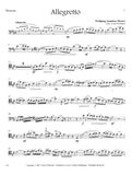 Bassoon