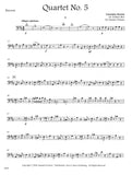 Bassoon