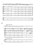 Score 4