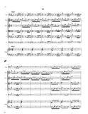 Score 3