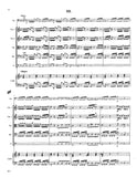 Score 3