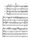 Devienne, François % Quartet in g minor, op. 73, #3 (score only) - BSN/STG3