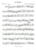 Bassoon 1