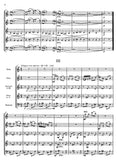 Score 3